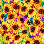 Multi Packed Sunflowers